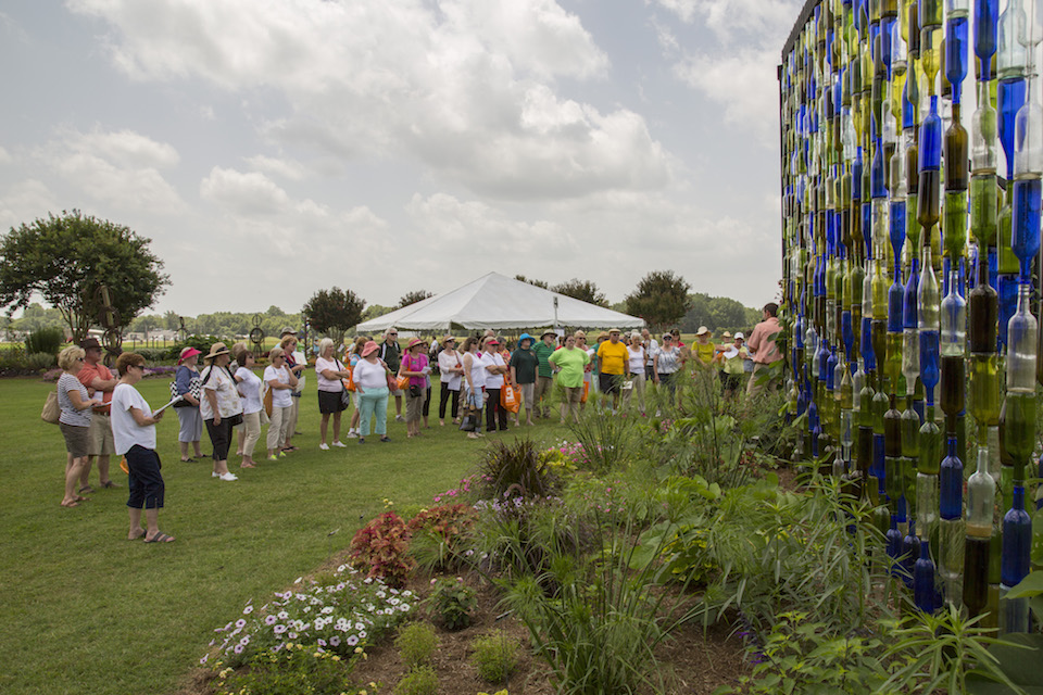 Picture of crowd at summer celebration event