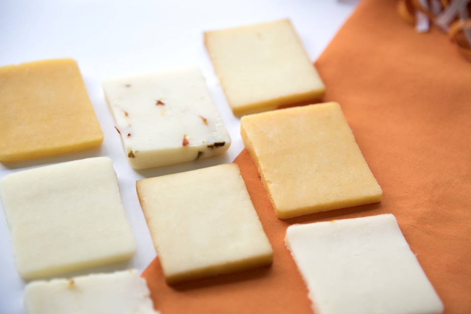 Picture of All Vol Cheese samples