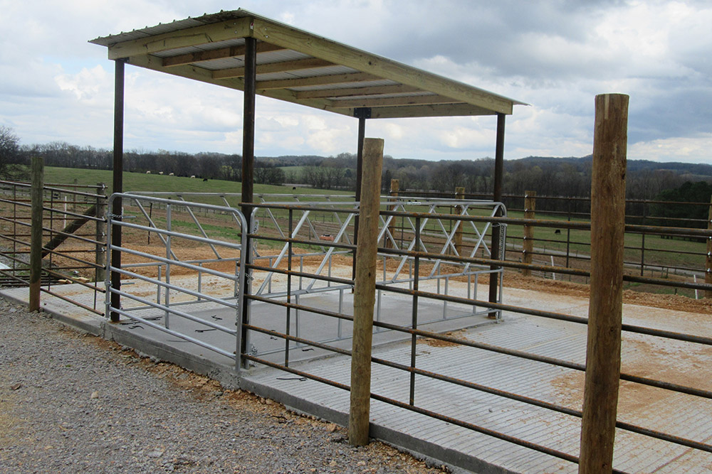 Picture of hay feeder