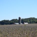 Picture of soybean farm and silo