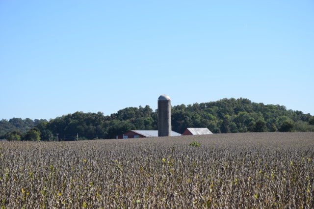 Picture of soybean farm and silo