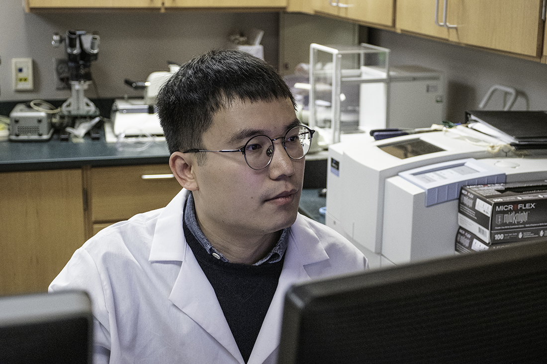 Picture of Qijun Zhang in a lab