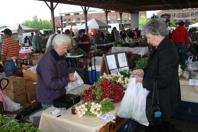 Picture of women shopping at farmer's market