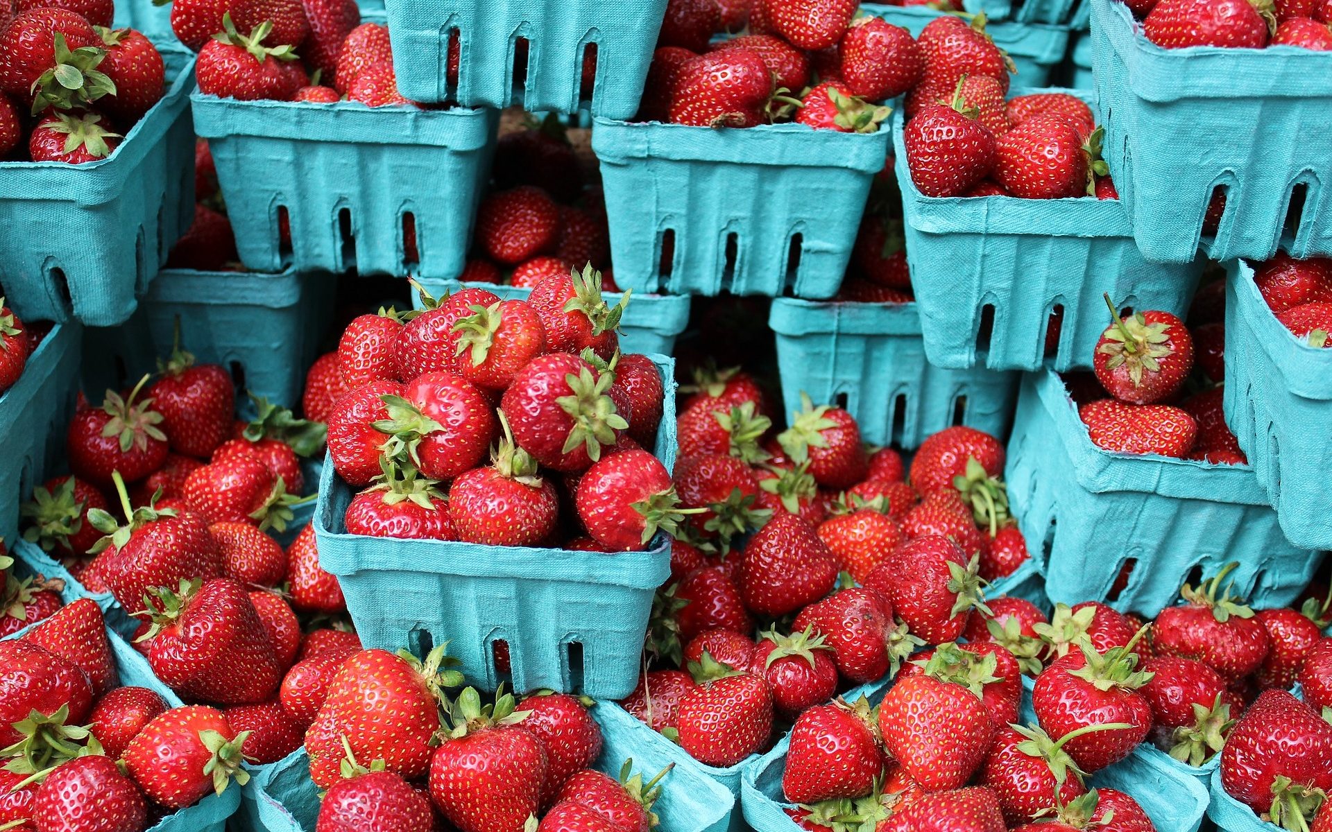 Picture of strawberries in pint containers to sell.