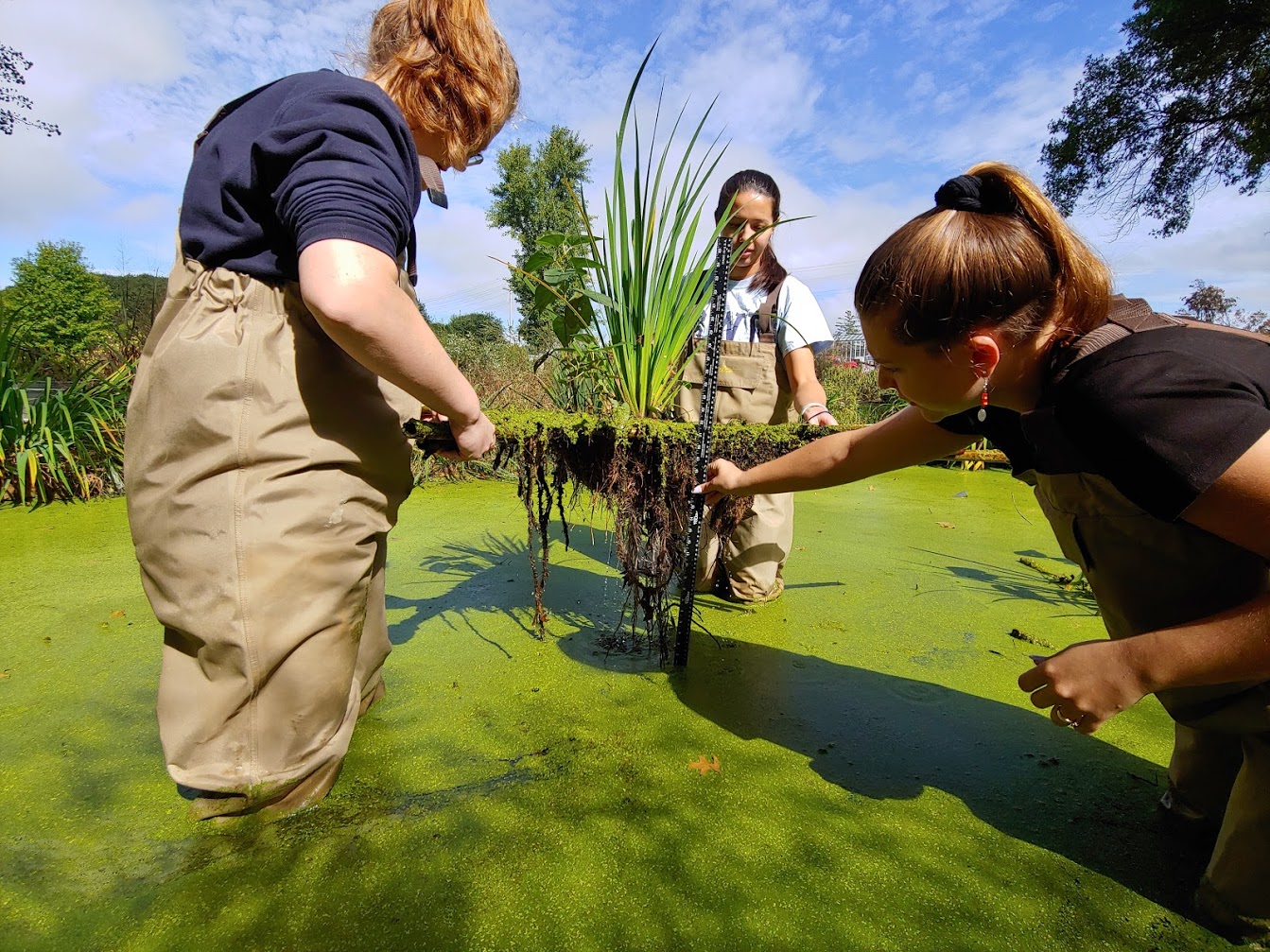 Picture of students testing design in a wetland