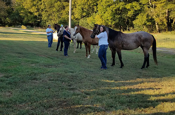 Jennie Ivey teaching a session at a field day