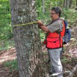 Picture of Kevin Hoyt measuring a tree