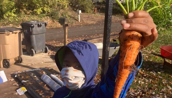 A child with Power T face mask holds a carrot proudly that he picked from Marble City Community Garden