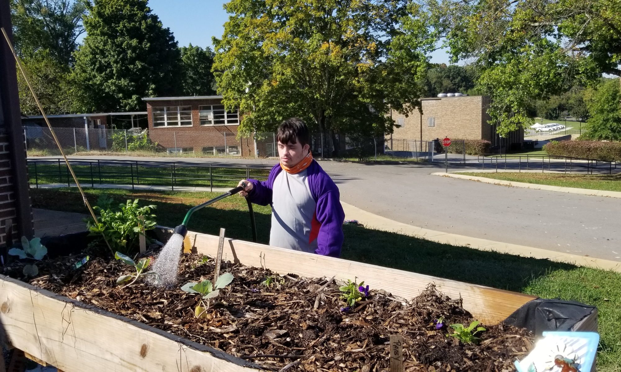 A Tennessee School for the Deaf student waters plants in a raised bed