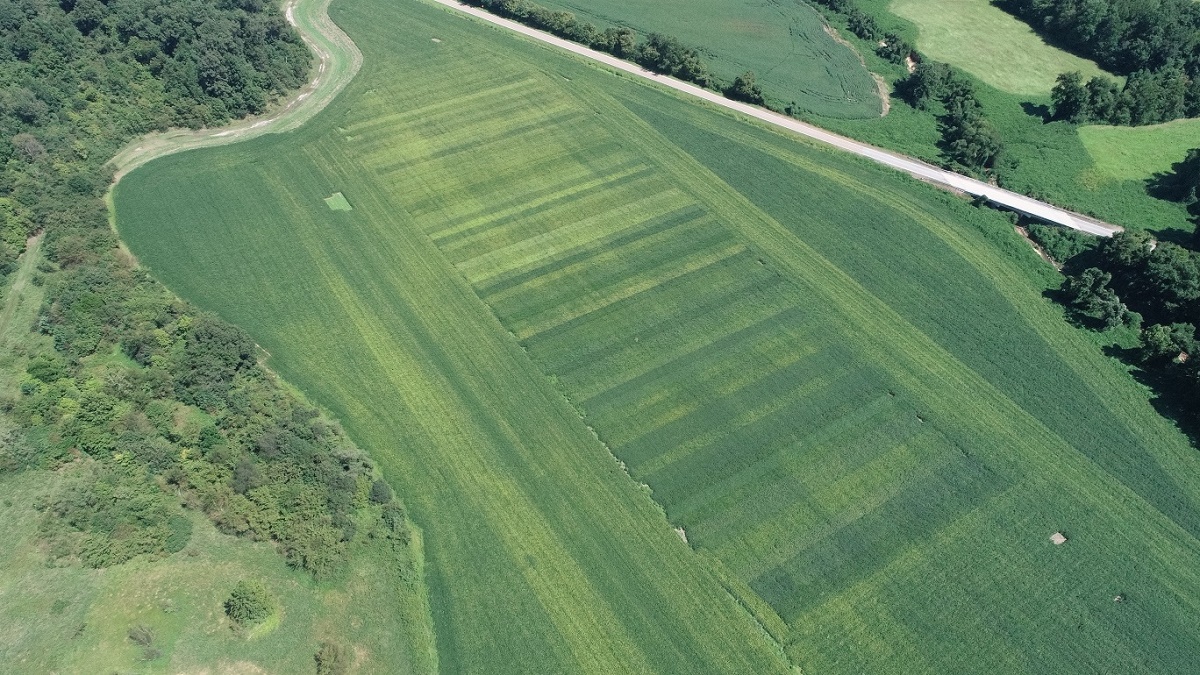 variety trials from the air