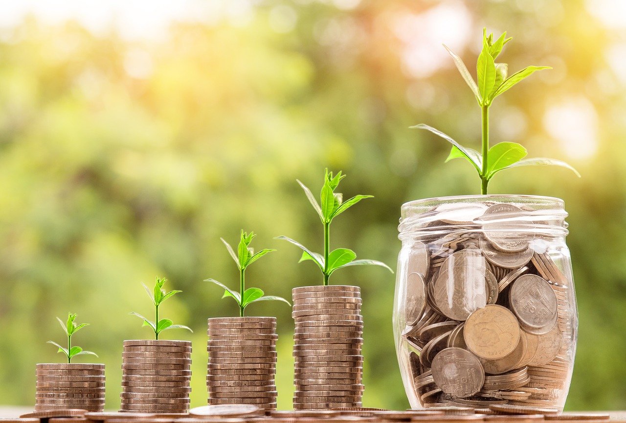 Picture of coins in stacks with plants growing up from them