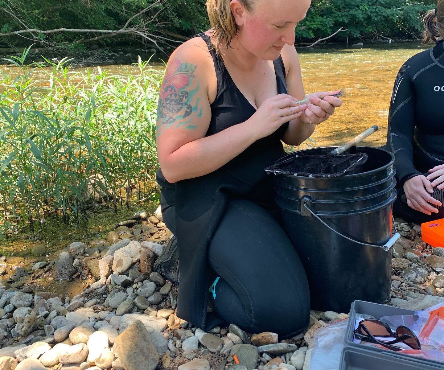 MS student Shawna Fix kneels in a stream researching the laurel dace.