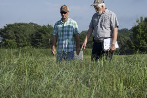 Johnny Richwine and Pat Keyser inspect a field of native grasses.