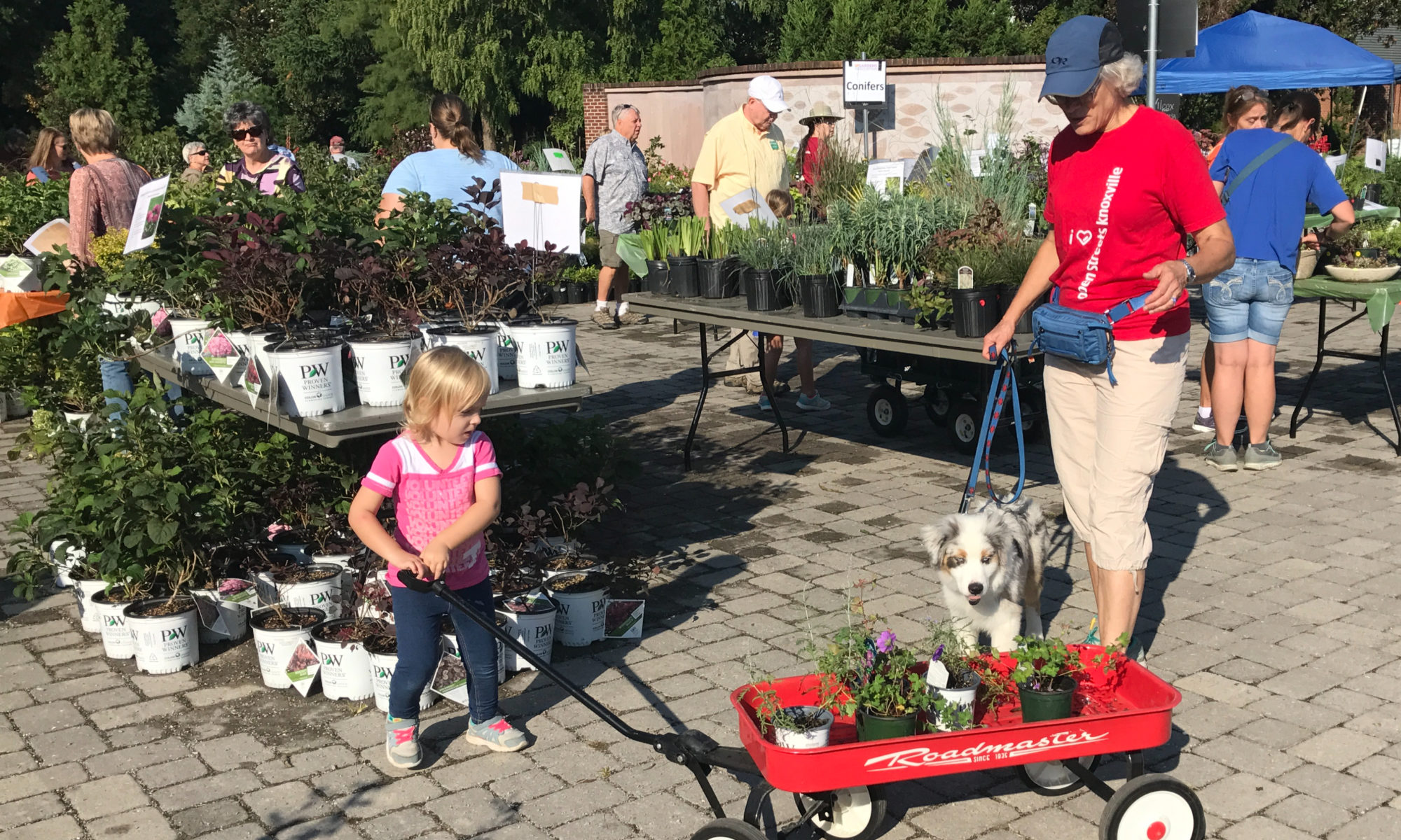 Image of plant sale attendees carrying plant purchases with a red wagon