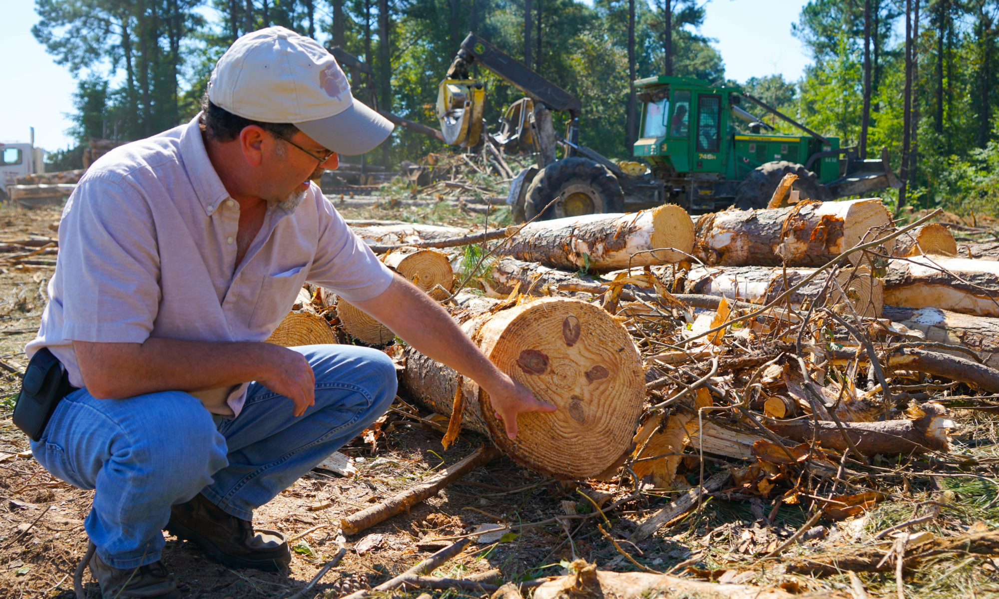 David Mercker shows a cut tree and describes what the wood will be used for.