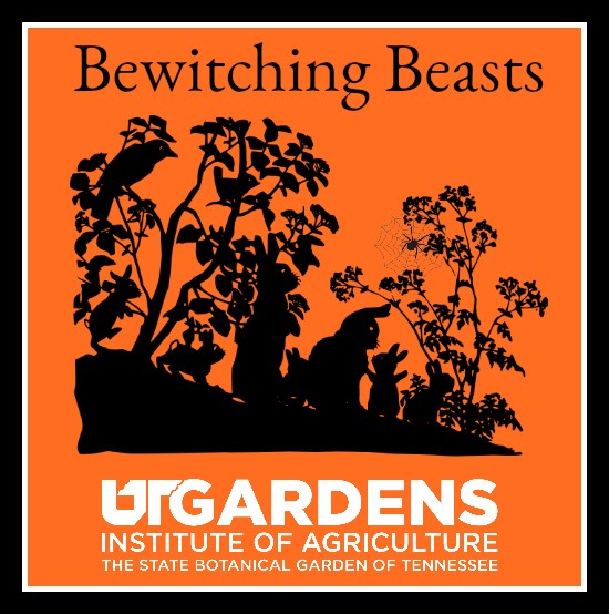 Bewitching Beasts event graphic