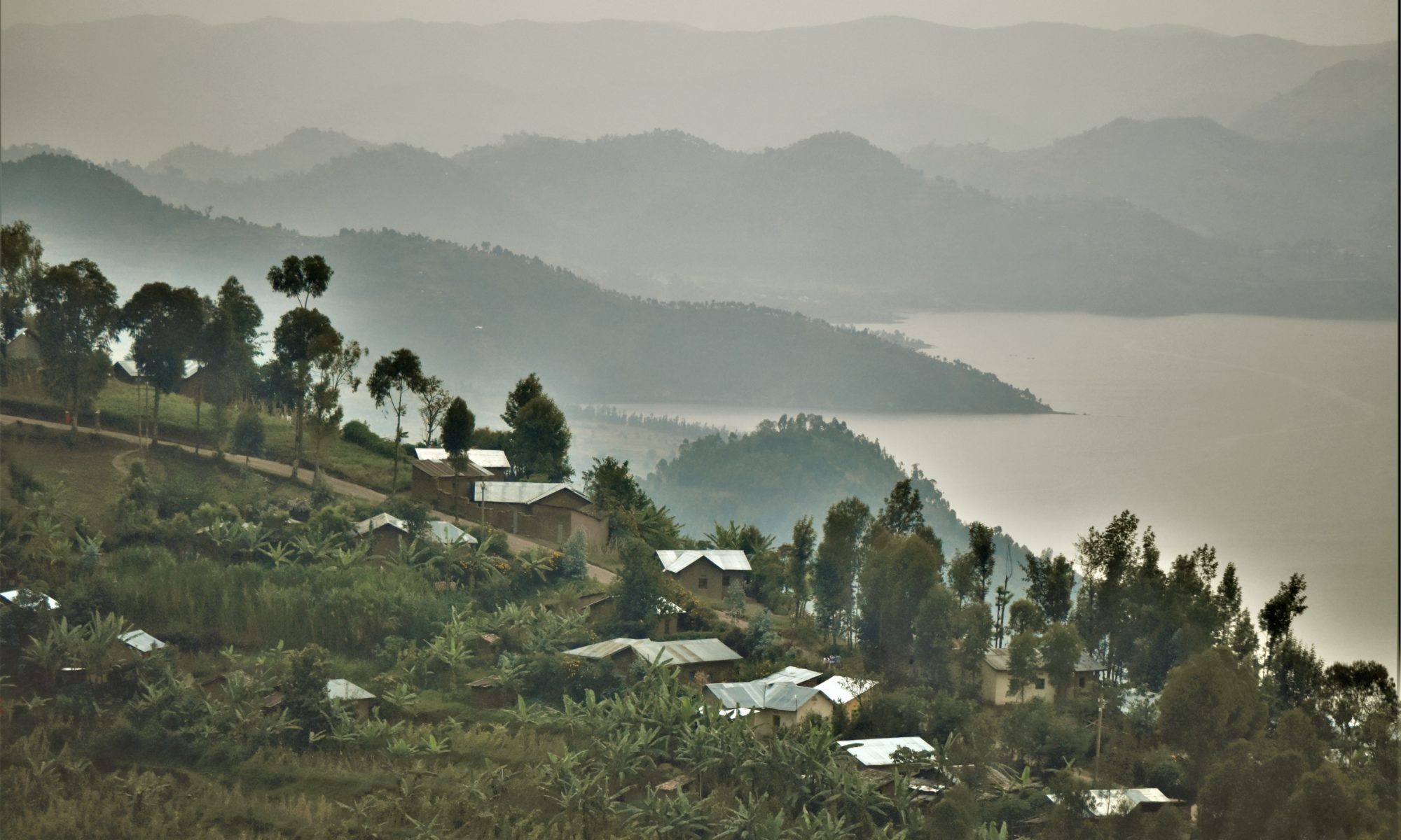 A skyline of Northwestern Rwanda is foggy and dotted with the tin roofs of houses.