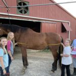 Members of the Blount County 4-H Horse Club practice calculating a horse's body weight