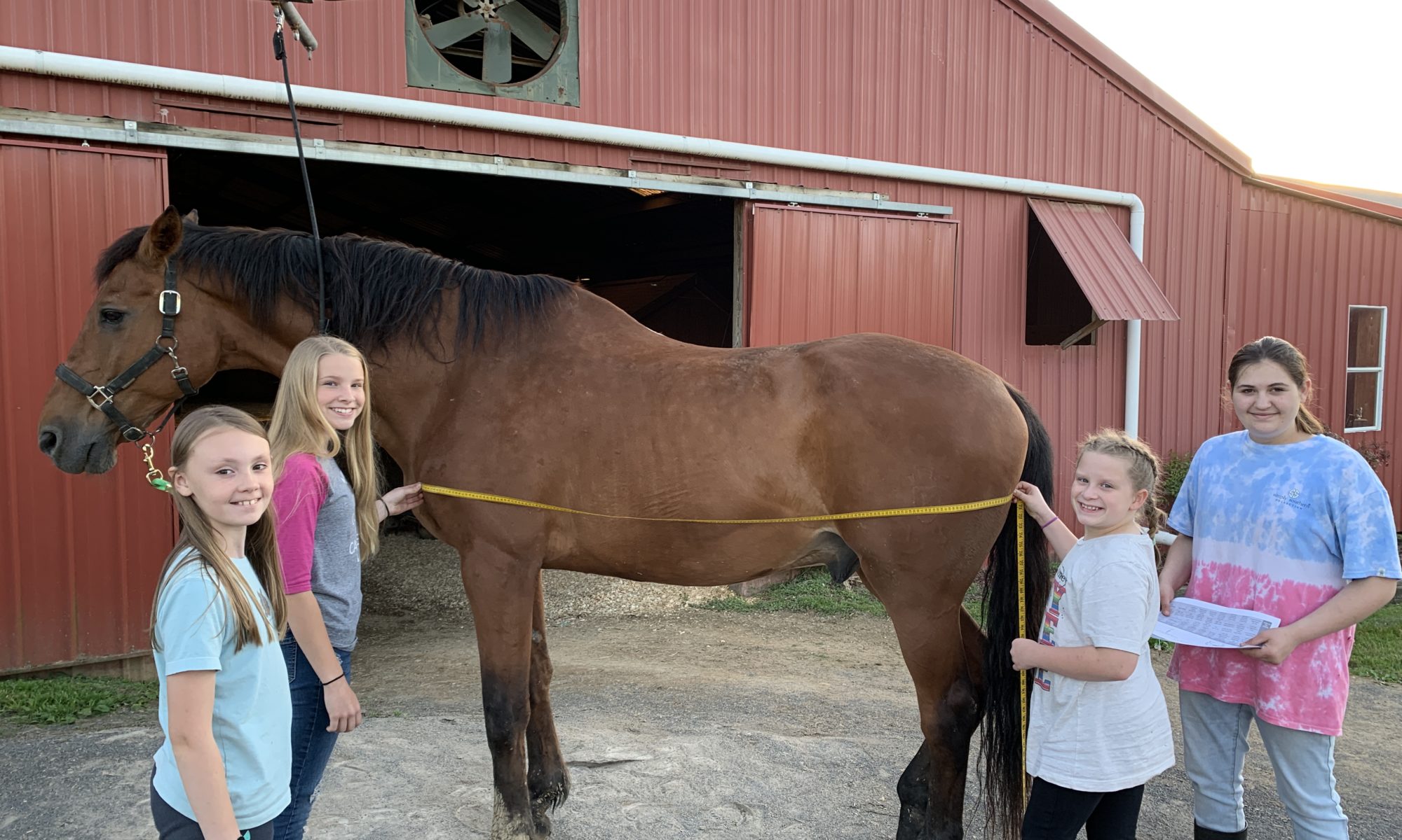 Members of the Blount County 4-H Horse Club practice calculating a horse's body weight