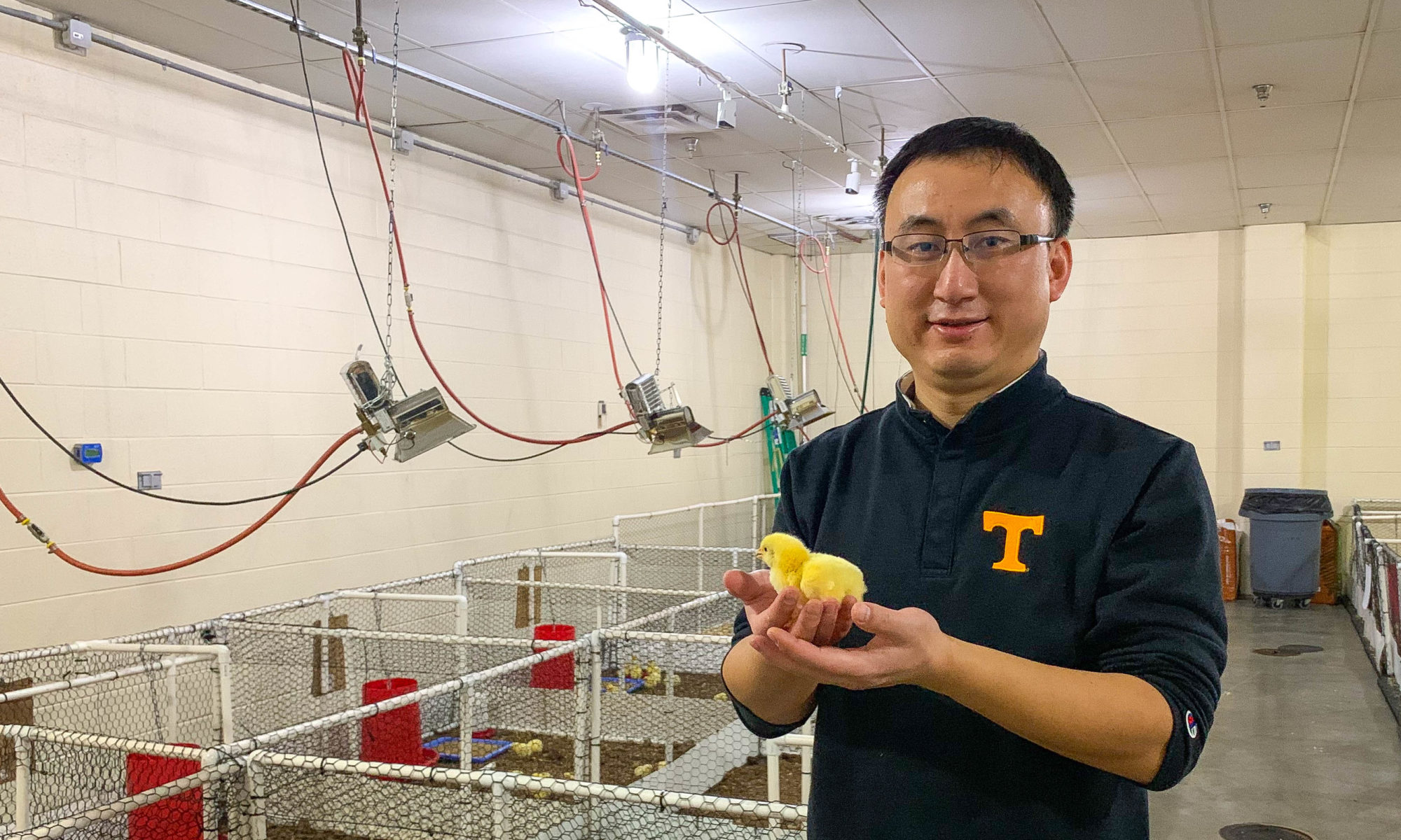 Yang Zhao poses with chicken hatchling in his broiler lab