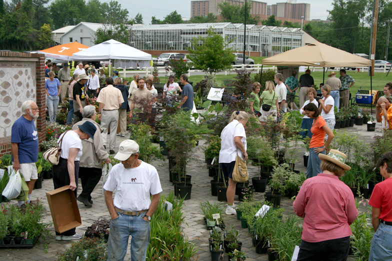 buyers looking at plants