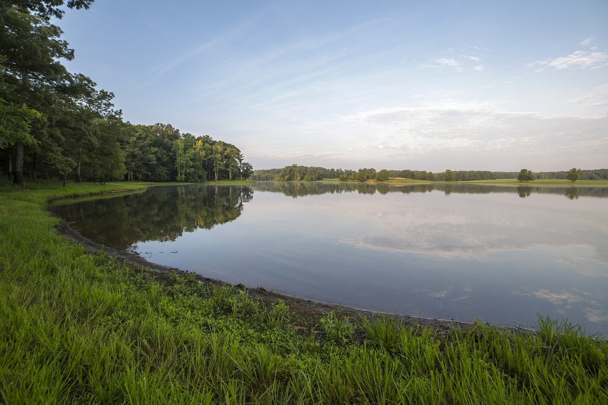 large lake at the University of Tennessee’s Lone Oaks Farm