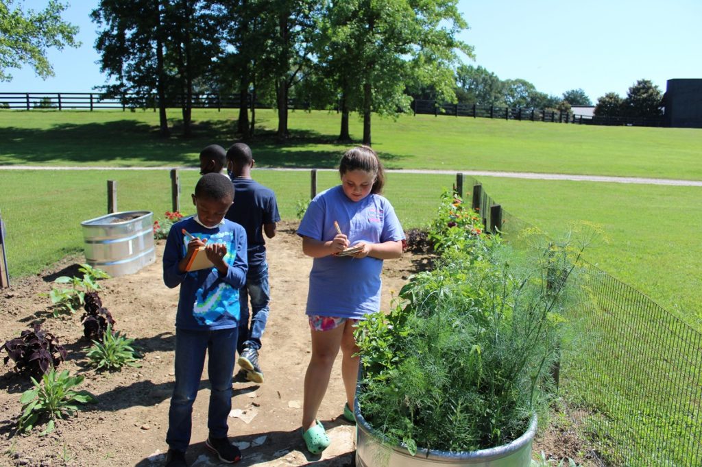 Students in a garden for the lone oaks learners program 