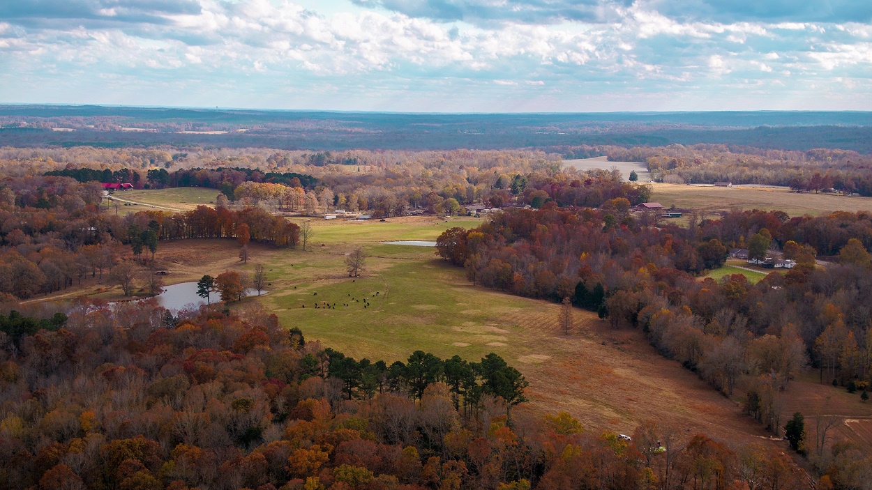 Aerial photo in West Tennessee