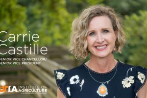 Portrait of Carrie Castille with text that reads 