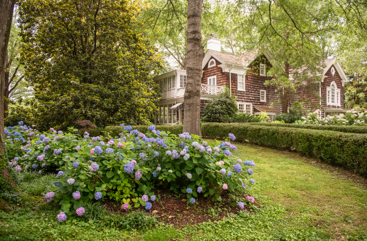 house with hedge, tree and flower landscaping