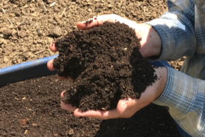 hands holding compost