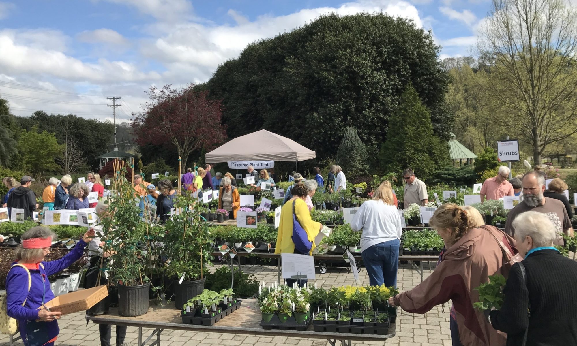 fall plant sale