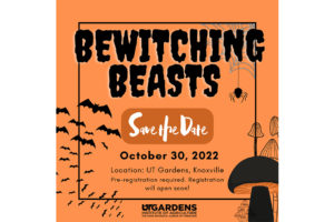 bewitching beasts infographic