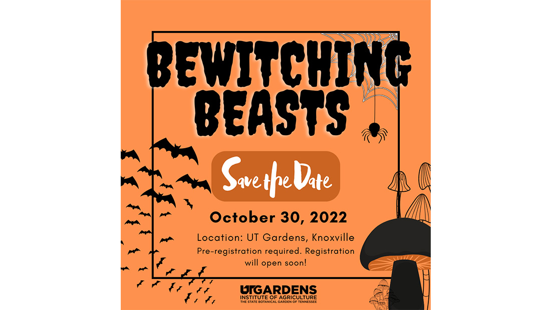 bewitching beasts infographic