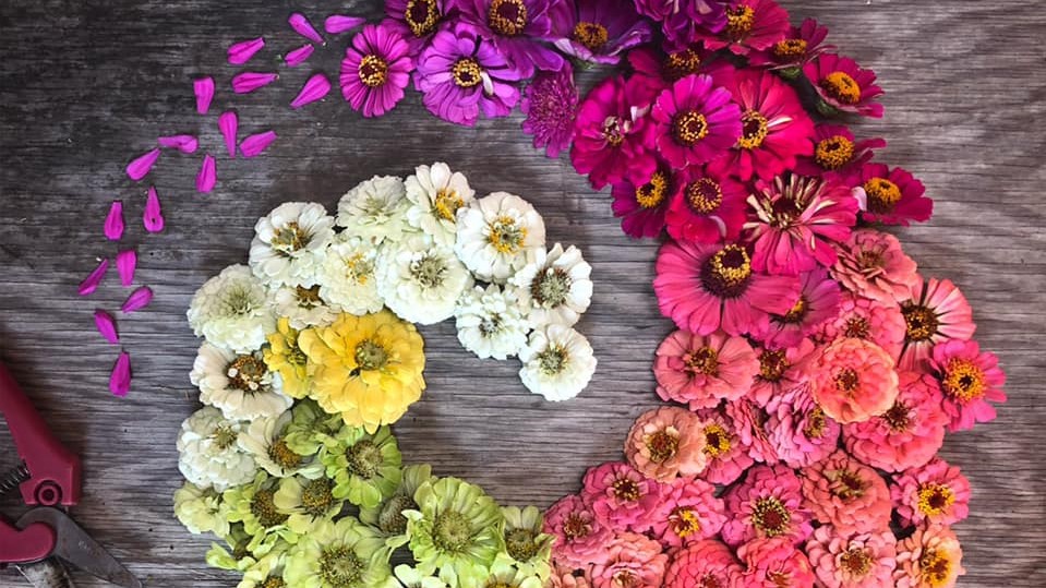 Flower arrangement on table