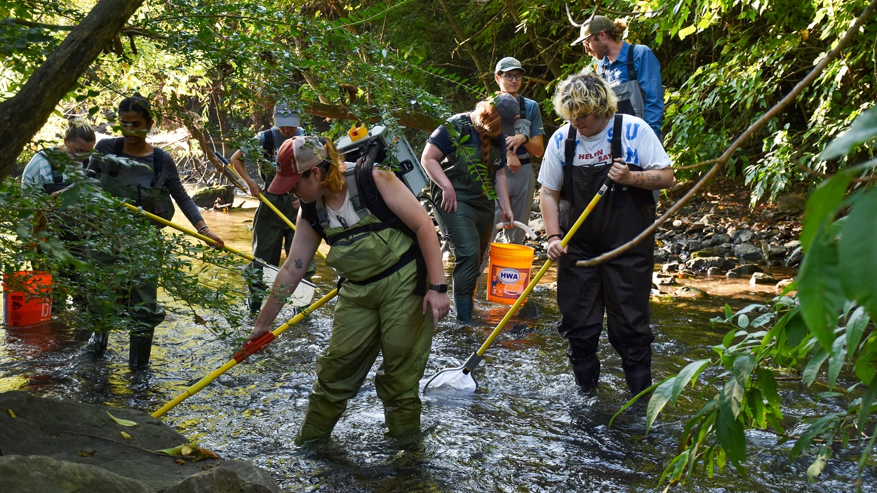 Fisheries Techniques students in stream