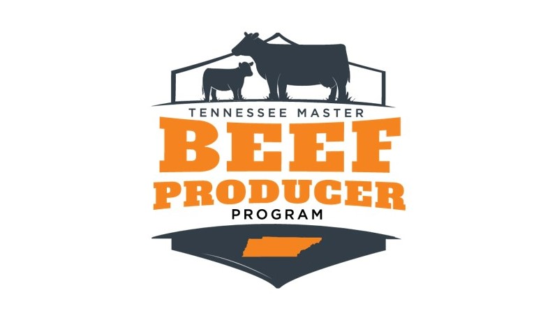 TN Master Beef Producer Program logo