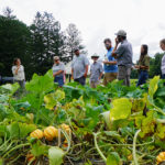 crowd of people with squash growing in foreground