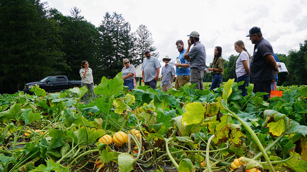crowd of people with squash growing in foreground