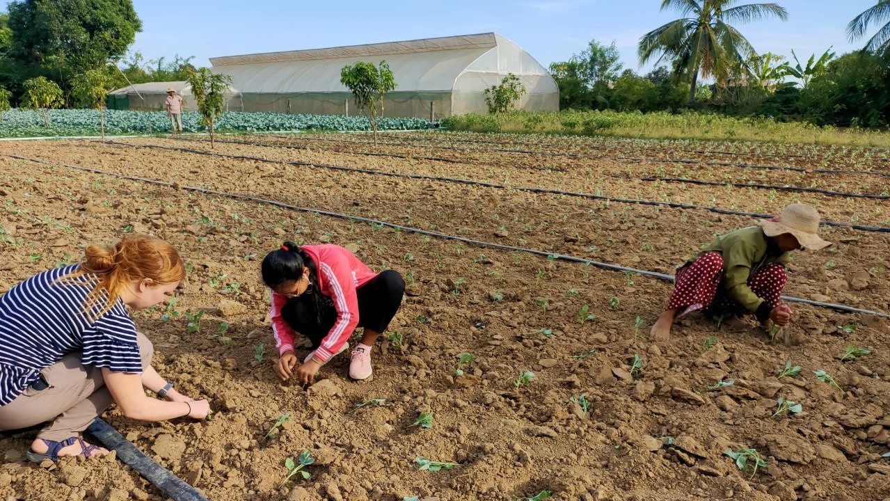 gracie and cambodian producers planting seedlings
