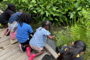 four children observing wetland area at UT Gardens, Knoxville