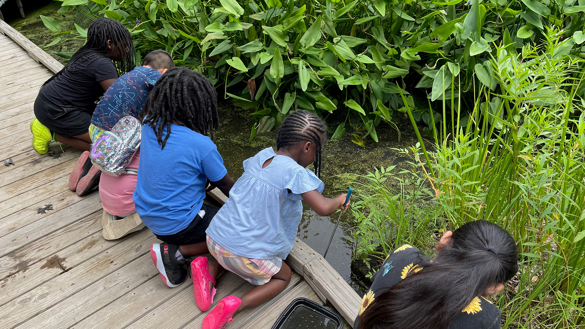 four children observing wetland area at UT Gardens, Knoxville