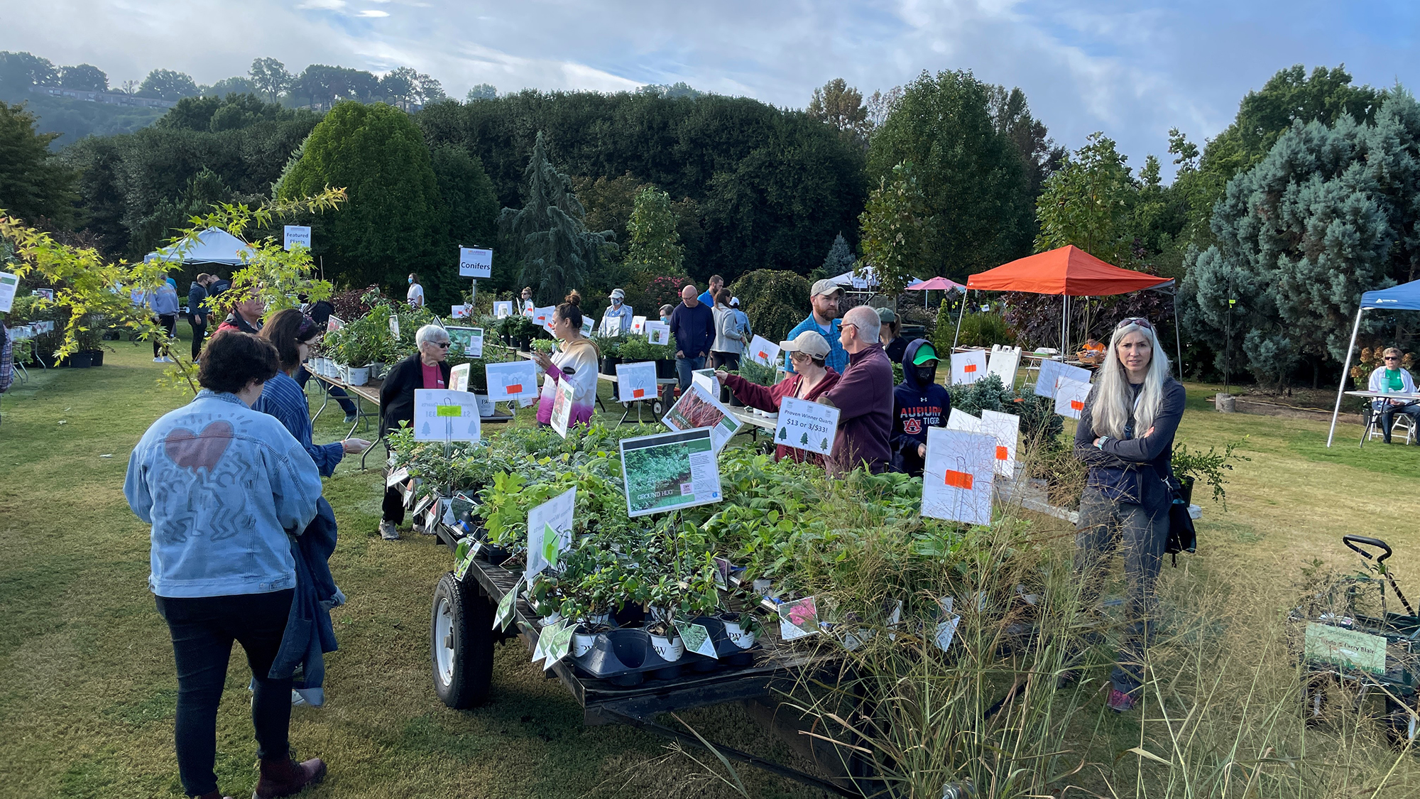 people at outdoor plant sale event