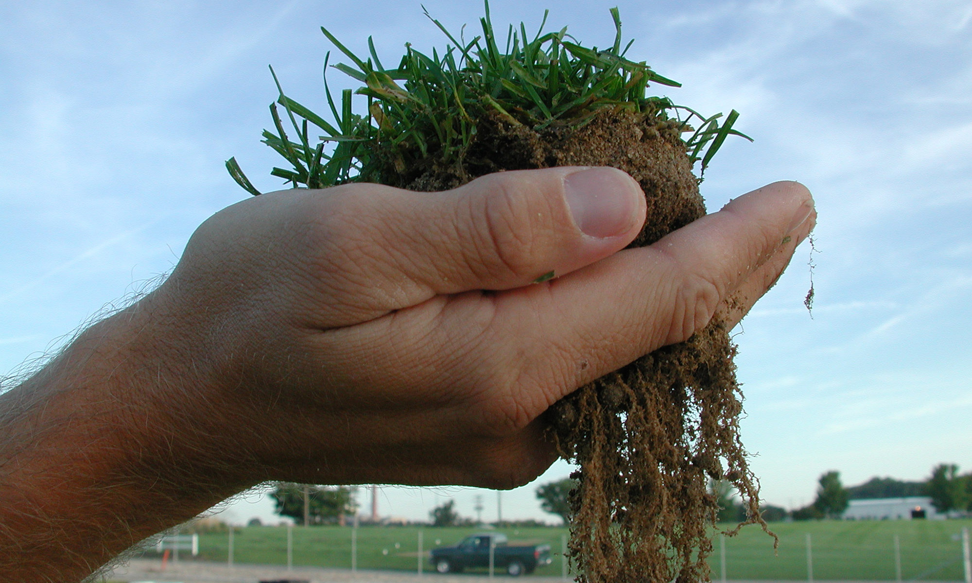 hands holding mass of turfgrass with roots hanging