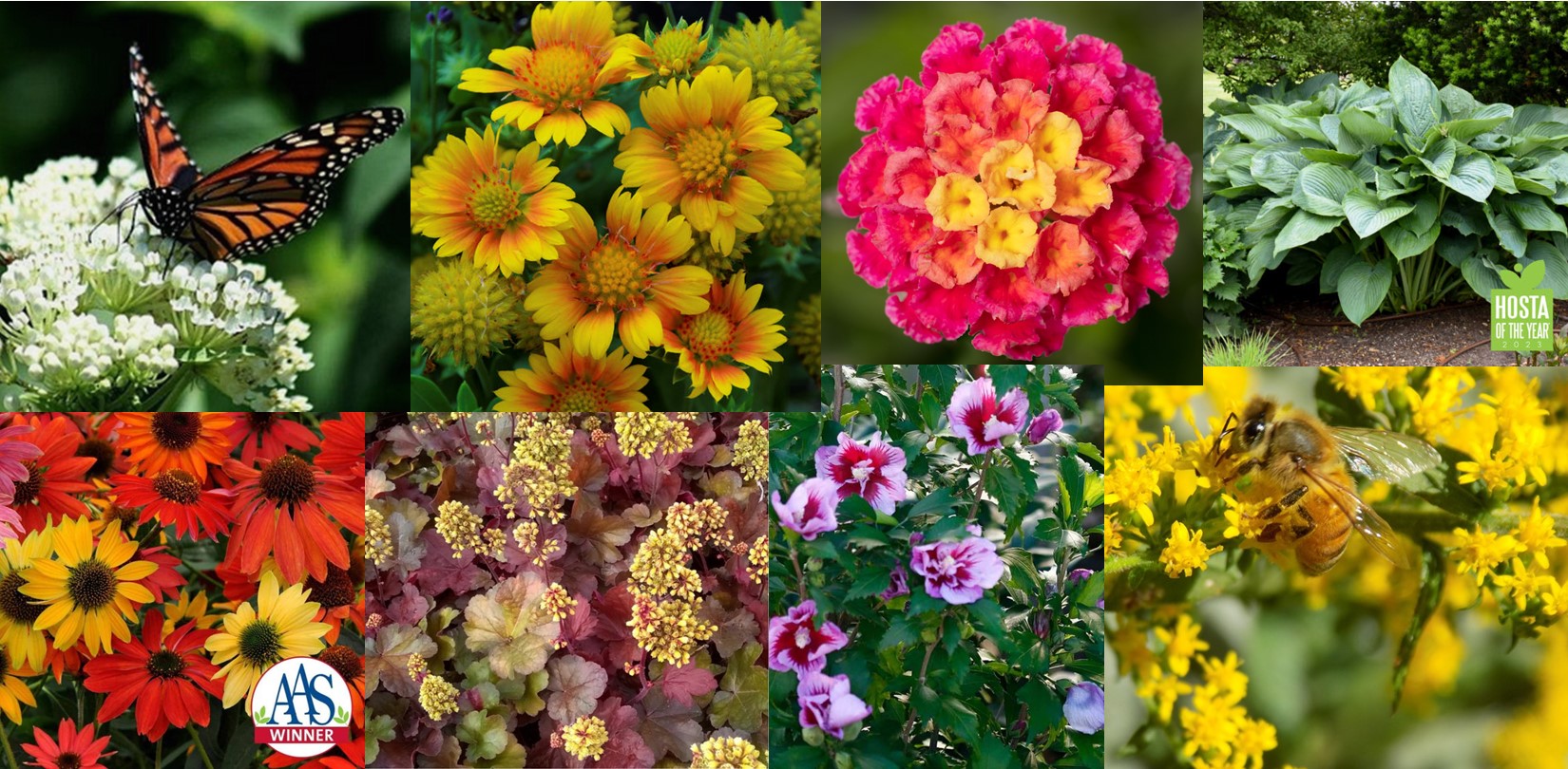 collage of landscape flowers and plants