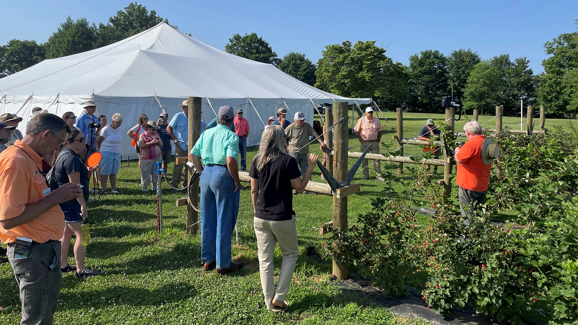 attendees walk around the fruits of the backyard field day event