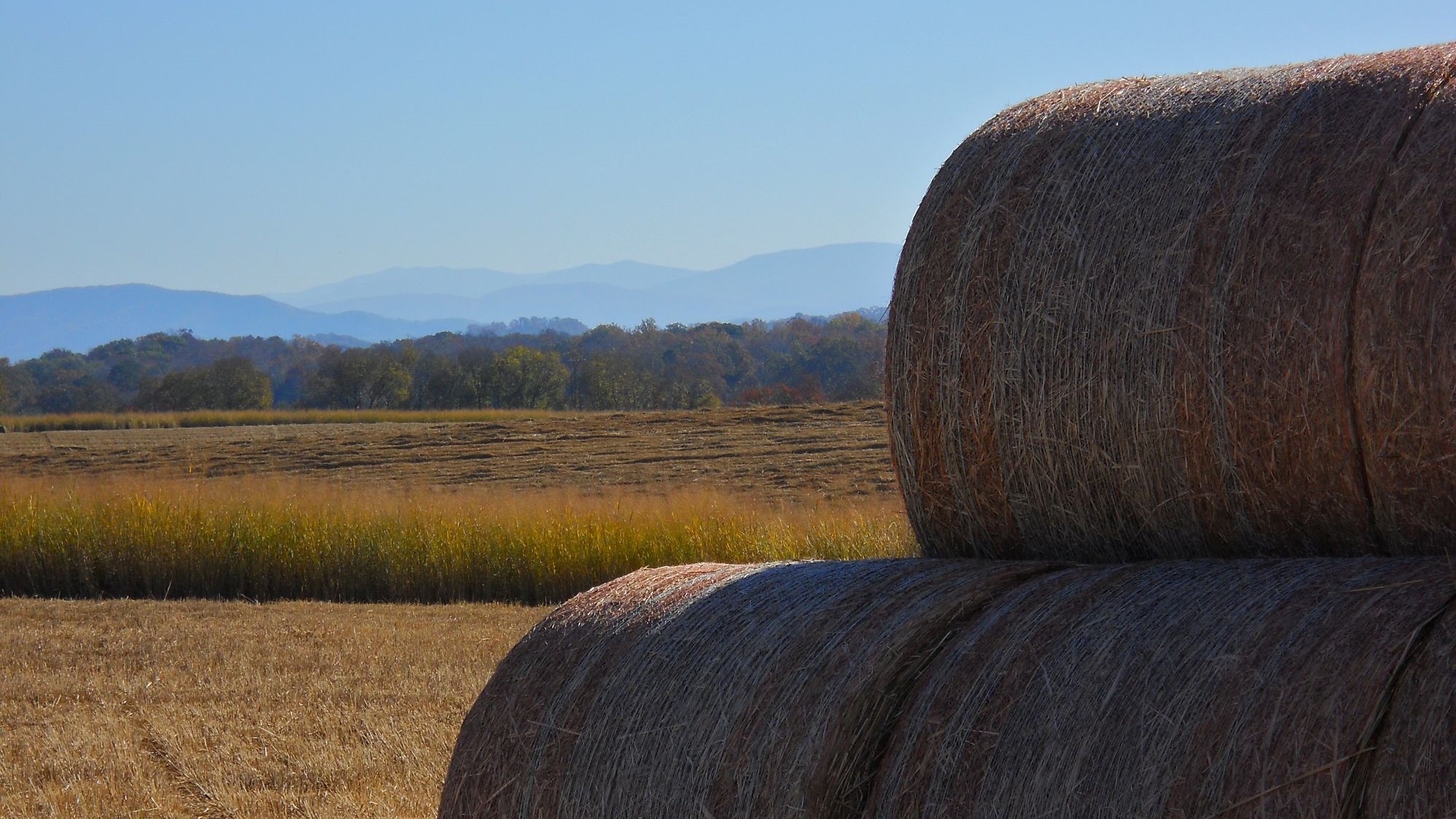bales of hay stacked in field