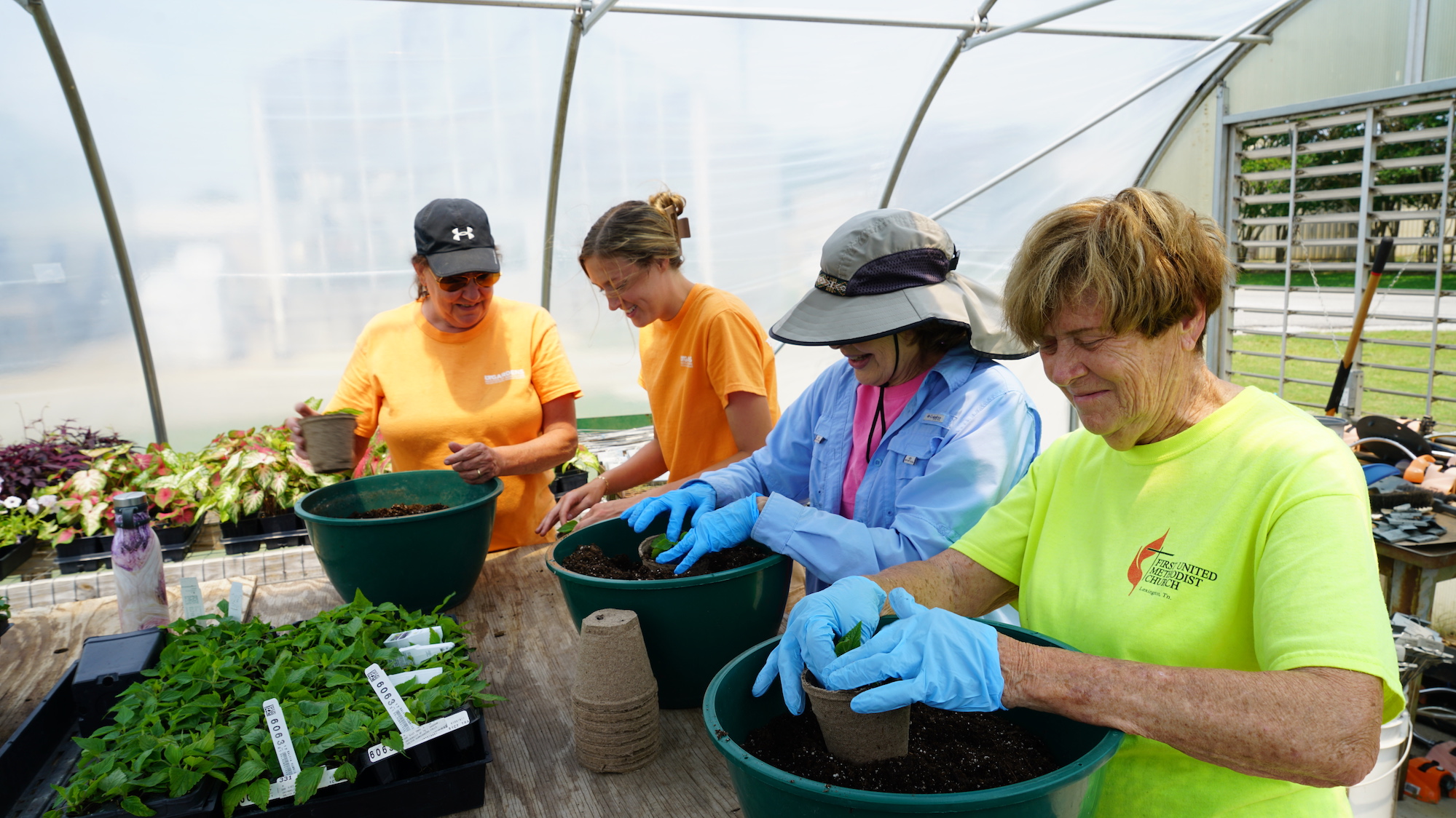 four workers potting plants in greenhouse