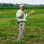 Larry Steckel at West Tennessee AgResearch and Education Center