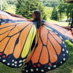 girl with brown hair wears costume butterfly wings and spins on a grass lawn
